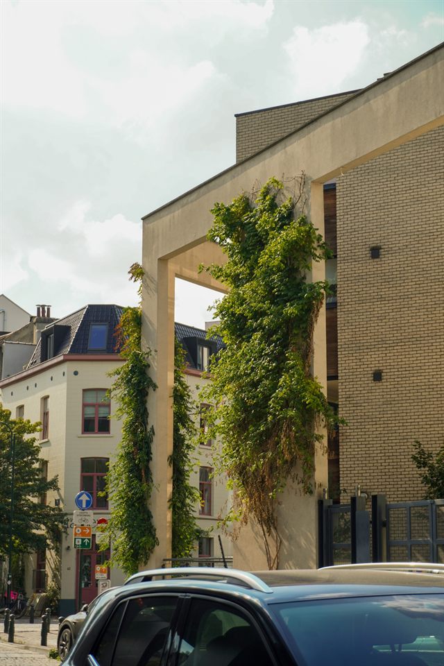 Betonnen poort begroeid met klimplanten naast een straat, met huizen en verkeersborden op de achtergrond